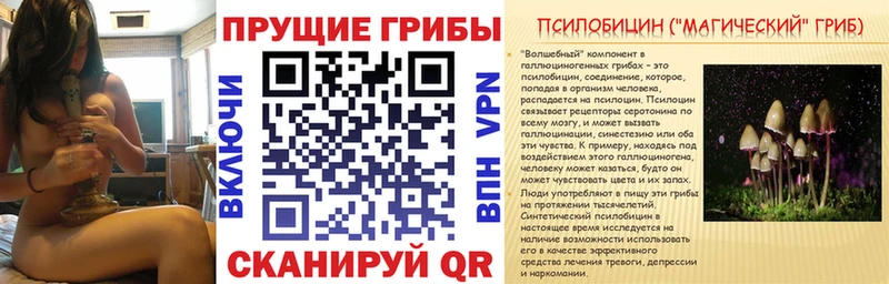 Псилоцибиновые грибы Psilocybine cubensis  купить  цена  Кукмор 